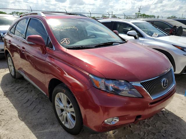 lexus rx 450 2011 jtjbc1ba0b2041437