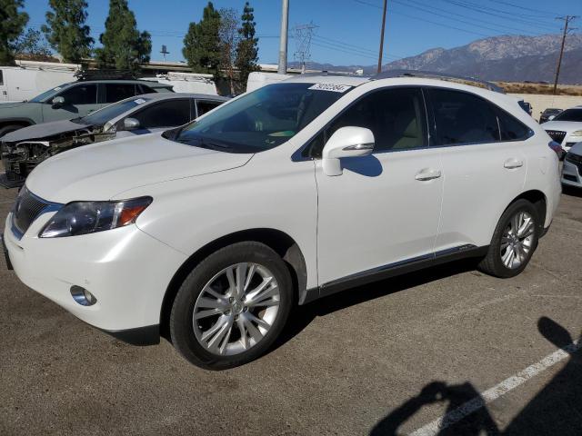 lexus rx 450h 2012 jtjbc1ba0c2425915