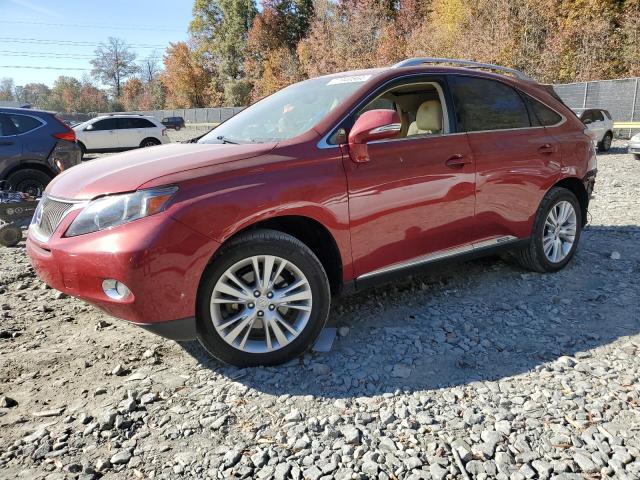 lexus rx 450h 2010 jtjbc1ba1a2005545