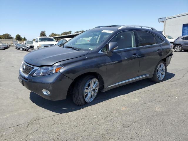 lexus rx450 2010 jtjbc1ba1a2017419