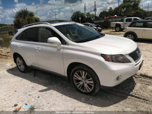 lexus rx 450h 2010 jtjbc1ba1a2408411