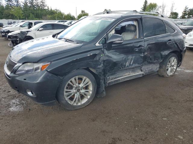 lexus rx 450 2010 jtjbc1ba4a2020346