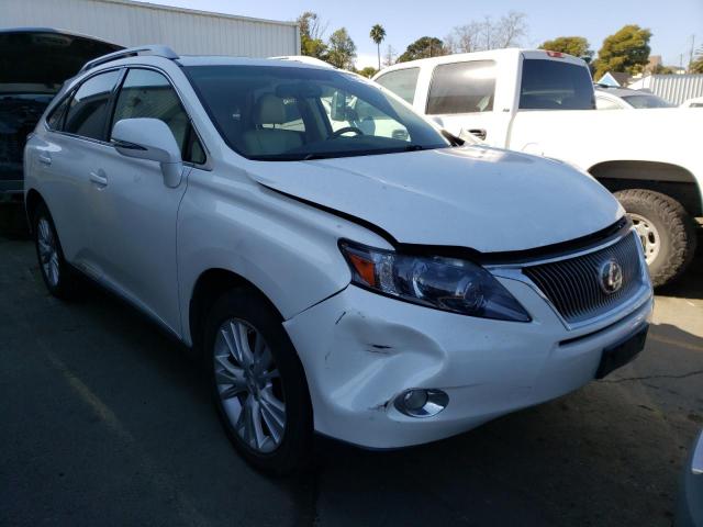 lexus rx 450 2010 jtjbc1ba7a2401110