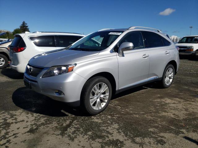 lexus rx 450 2010 jtjbc1ba7a2404959