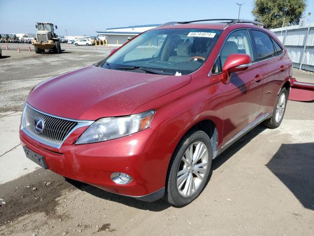 lexus rx450 2010 jtjbc1ba7a2415489