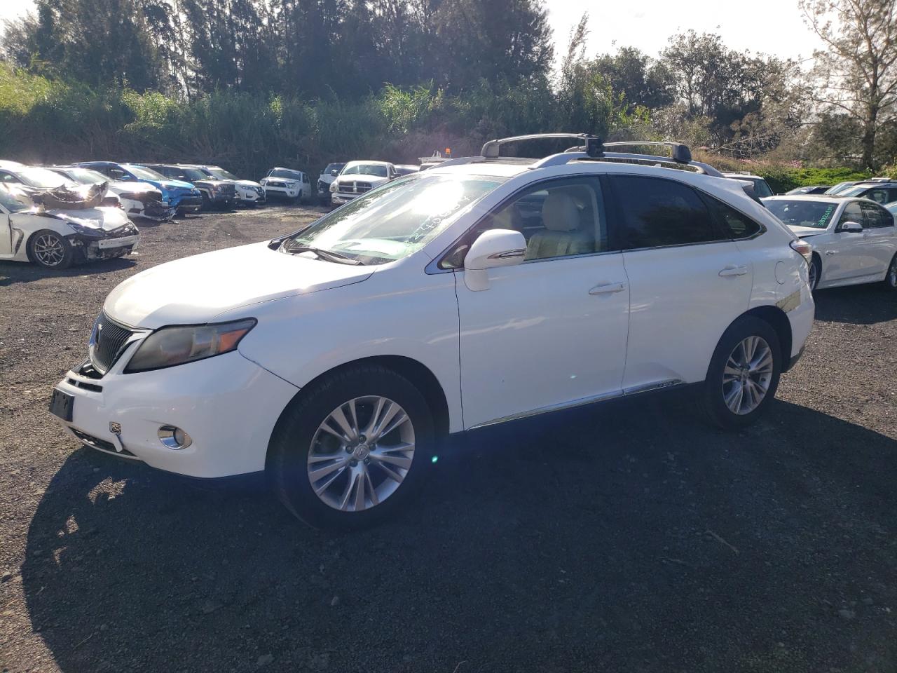 lexus rx 2010 jtjbc1ba9a2005440