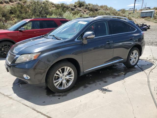 lexus rx450 2010 jtjbc1ba9a2016681