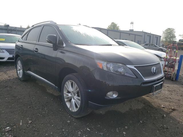 lexus rx 450 2010 jtjbc1baxa2024501