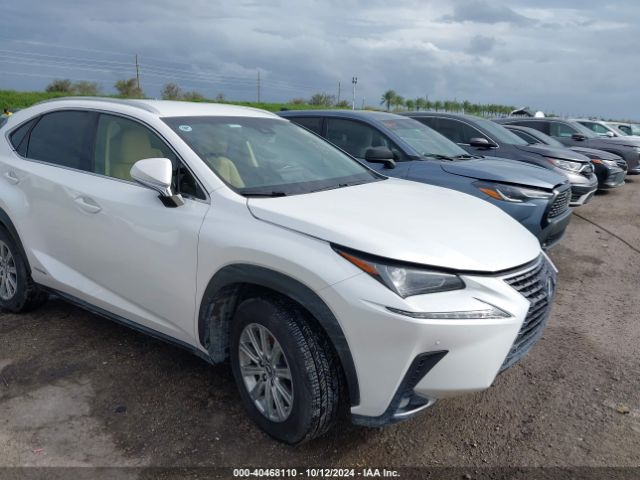 lexus nx 300h 2019 jtjbjrbz1k2102272