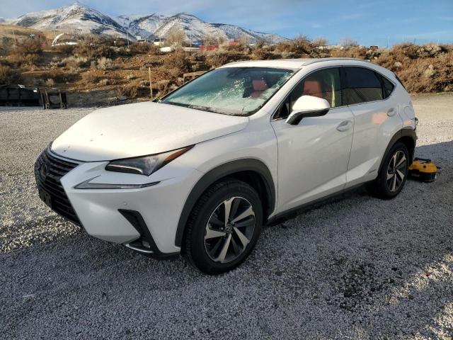 lexus nx 300h 2019 jtjbjrbz2k2107447