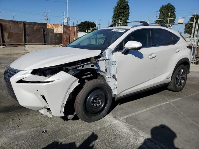 lexus nx 300h 2019 jtjbjrbz2k2109165