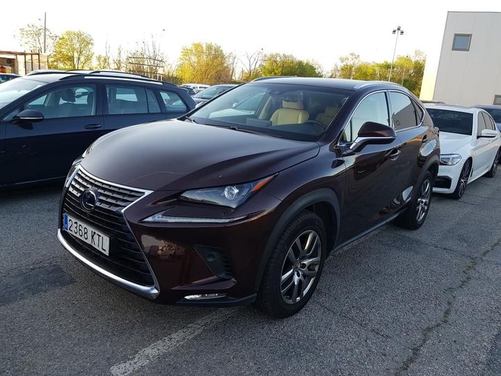 lexus nx 2019 jtjbjrbz302115991