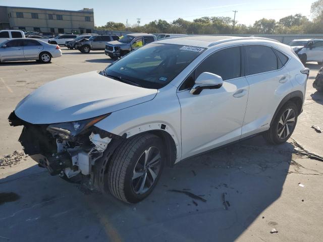 lexus nx 300h 2019 jtjbjrbz4k2105344