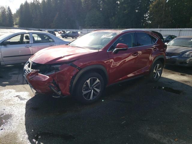 lexus nx 300h 2019 jtjbjrbzxk2101377