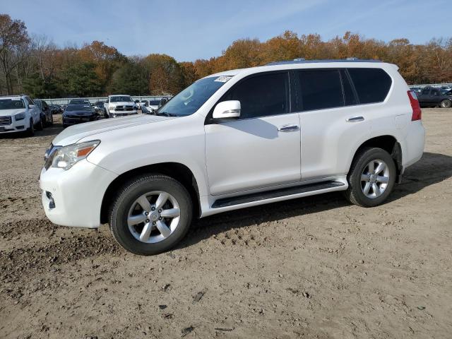 lexus gx 460 2010 jtjbm7fx0a5010118