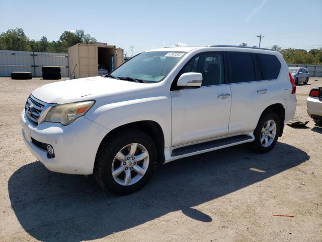 lexus gx 460 2010 jtjbm7fx4a5016732