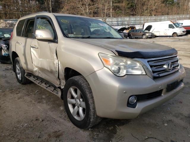 lexus gx 460 2010 jtjbm7fxxa5010367