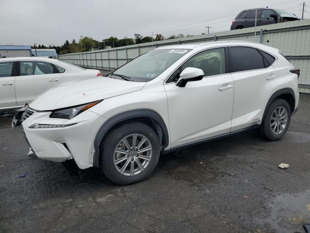 lexus nx 300h ba 2021 jtjdjrdz4m5014758