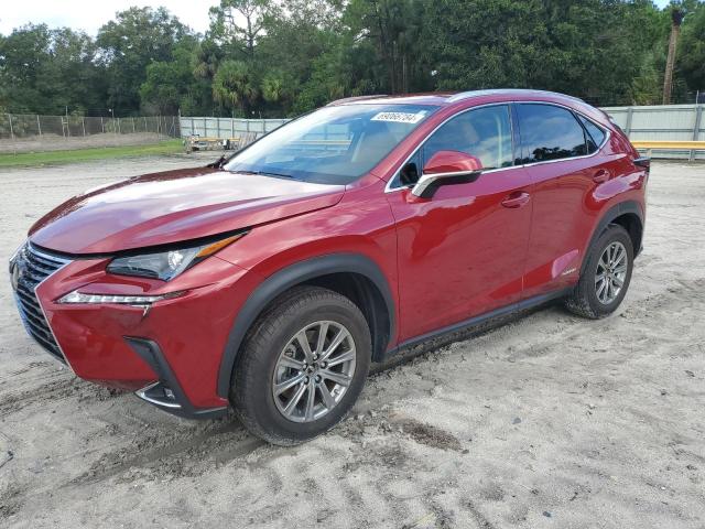 lexus nx 300h 2020 jtjdjrdz8l5009786