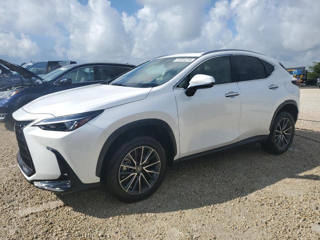 lexus nx 250 2023 jtjgdcaz2p5009827