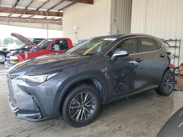 lexus nx 250 2023 jtjgdcaz7p5012321