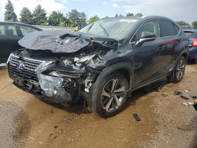 lexus nx 300h ba 2021 jtjgjrdz0m2149377