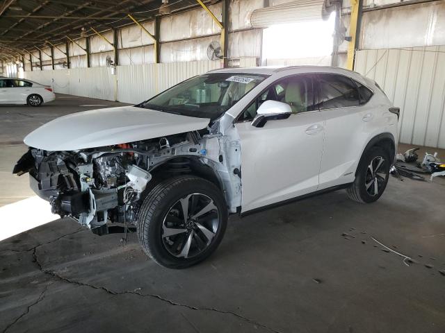 lexus nx 300h ba 2021 jtjgjrdz1m5014102