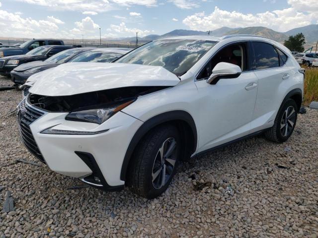 lexus nx 300h 2020 jtjgjrdz3l2128862