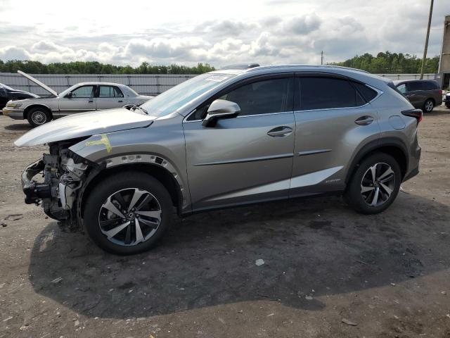 lexus nx 300h ba 2021 jtjgjrdz4m2156445