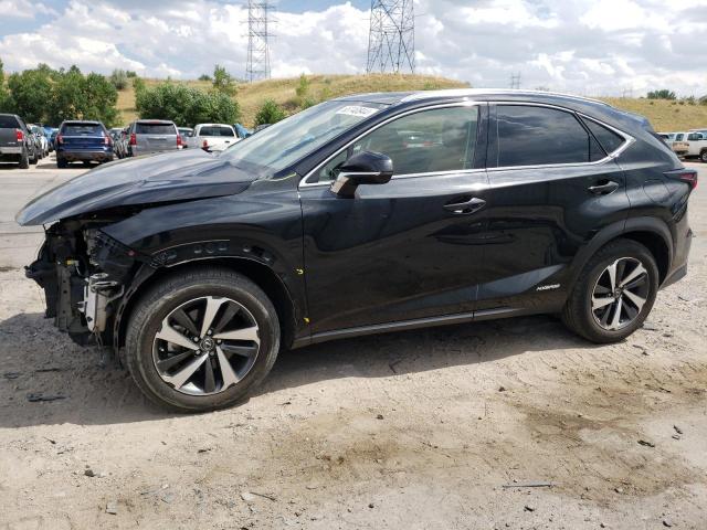 lexus nx 300h 2020 jtjgjrdz6l5007340