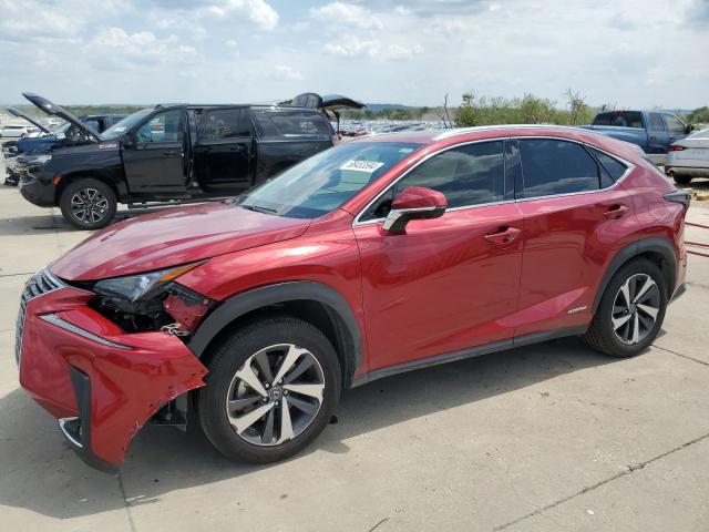 lexus nx 300h 2020 jtjgjrdz7l5004074