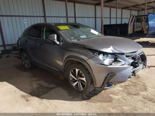 lexus nx 2021 jtjgjrdz7m2147318