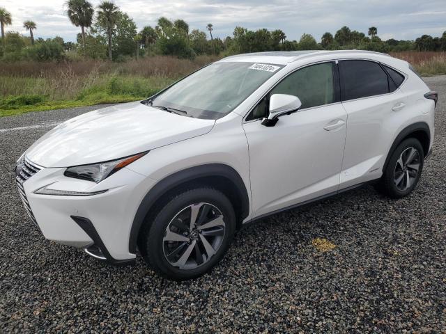 lexus nx 300h ba 2021 jtjgjrdz8m5014923