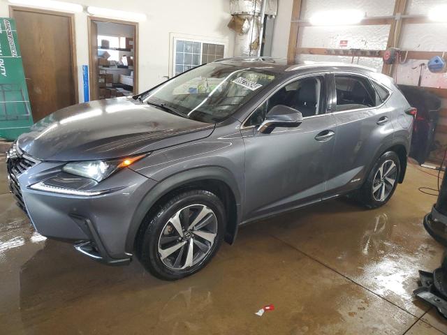 lexus nx 300h ba 2021 jtjgjrdz9m2158773