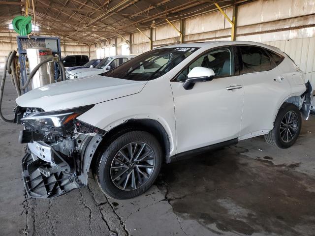 lexus nx 350h ba 2024 jtjgkcez1r5016156