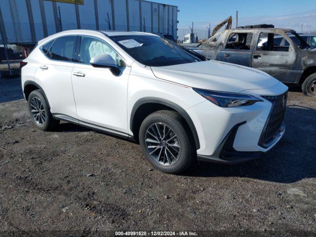 lexus nx 2024 jtjgkcez3r2017469