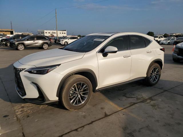 lexus nx 350h ba 2024 jtjgkcez4r2035155