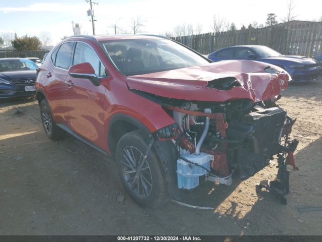 lexus nx 2024 jtjgkcez4r2038041