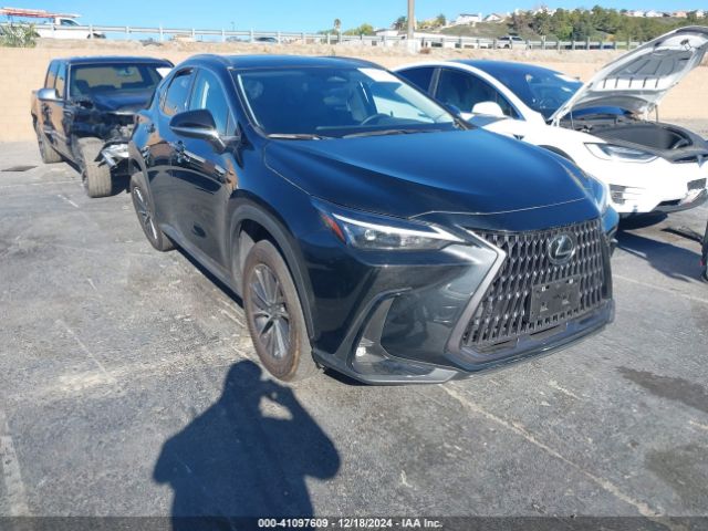 lexus nx 2024 jtjgkcez4r5014899