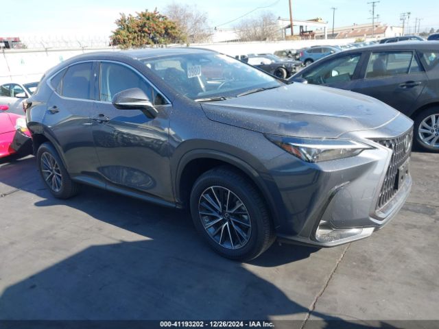 lexus nx 2024 jtjgkcez4r5020329