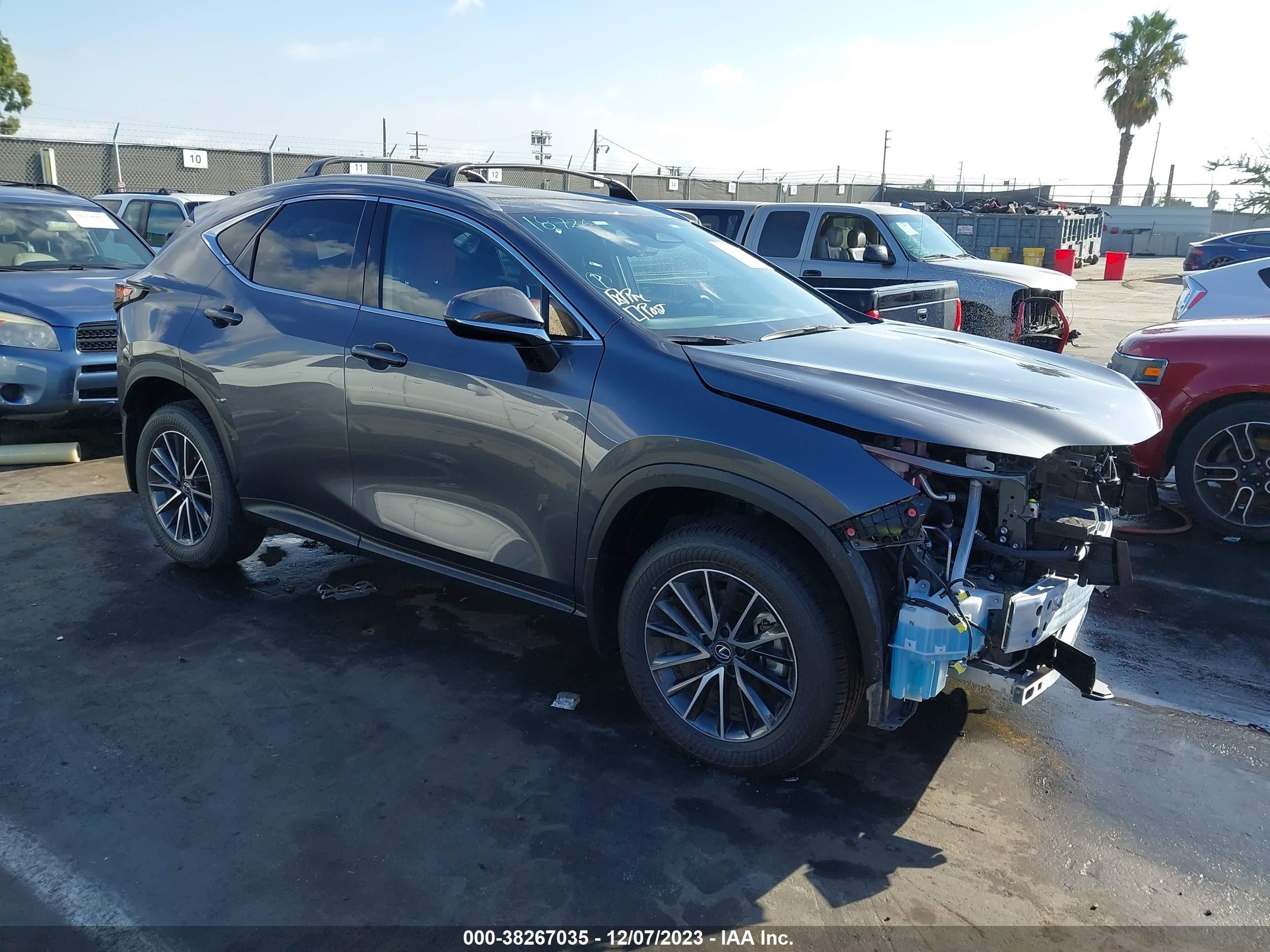 lexus nx 2024 jtjgkcez5r2019434