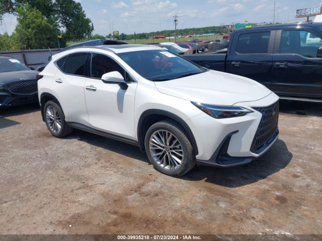 lexus nx 2023 jtjgkcez6p5007059