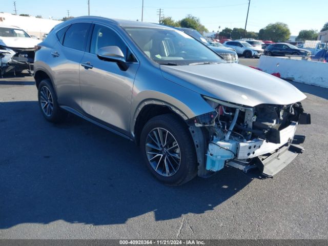 lexus nx 2024 jtjgkcez6r5013284