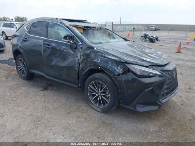 lexus nx 350h 2024 jtjgkcez6r5016119