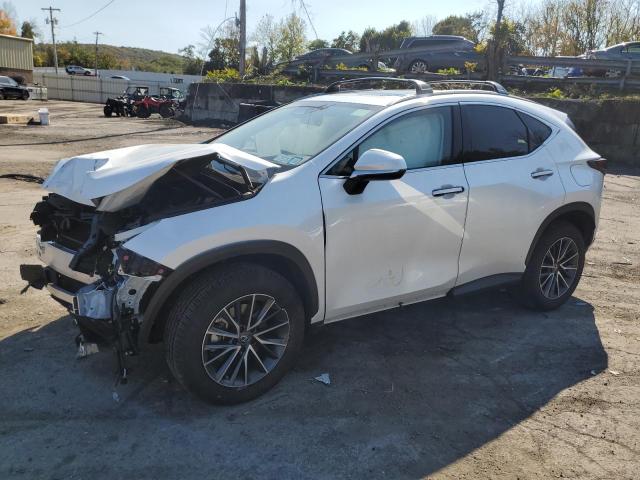 lexus nx 350h ba 2024 jtjgkcez6r5018341