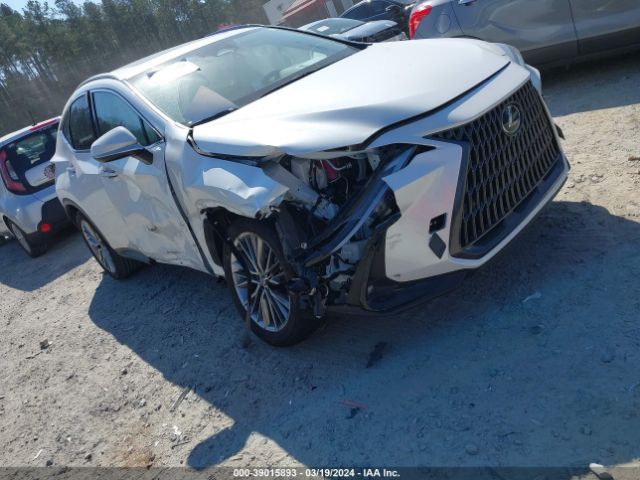 lexus nx 350h 2023 jtjgkcez7p5007975