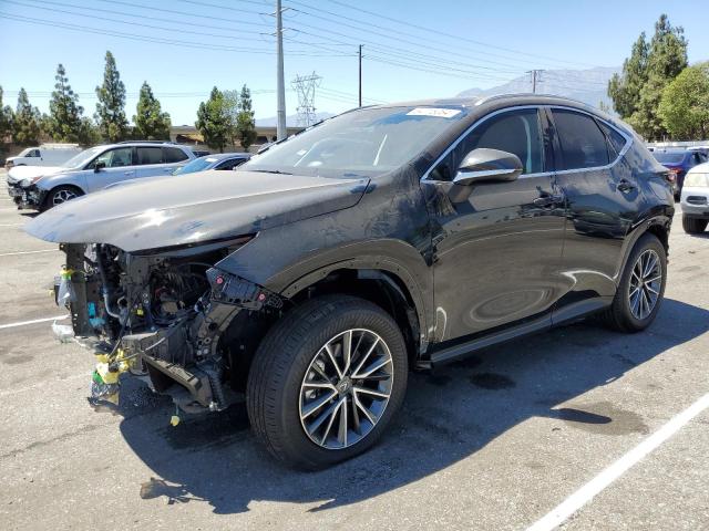 lexus nx 350h ba 2024 jtjgkcez7r2030757