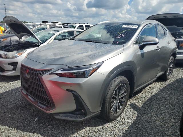 lexus nx 350h ba 2025 jtjgkcez7s2042218