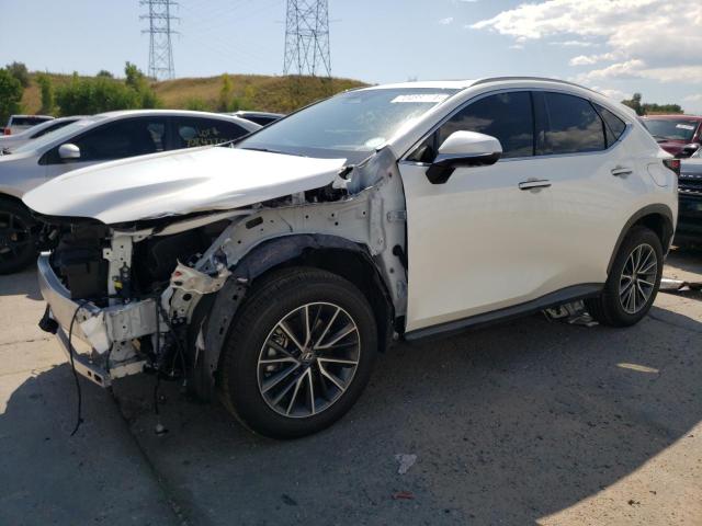 lexus nx 350h ba 2024 jtjgkcez8r2034350