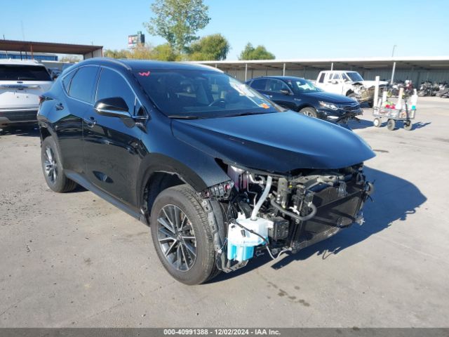 lexus nx 2024 jtjgkcezxr2028274